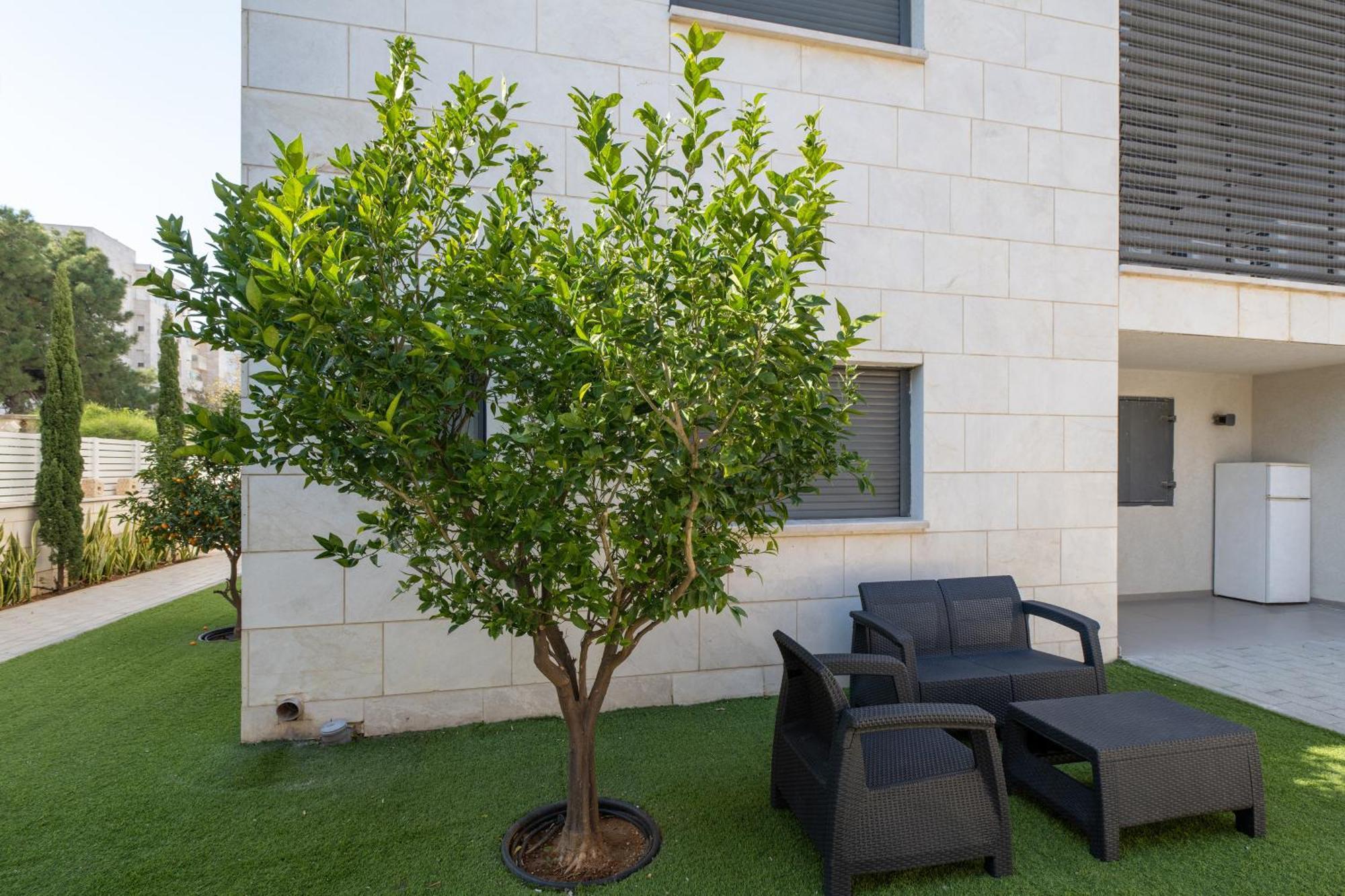 Balfour Sea View City Center Nahariya Ngoại thất bức ảnh